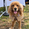 Load image into Gallery viewer, The Regent Coat

