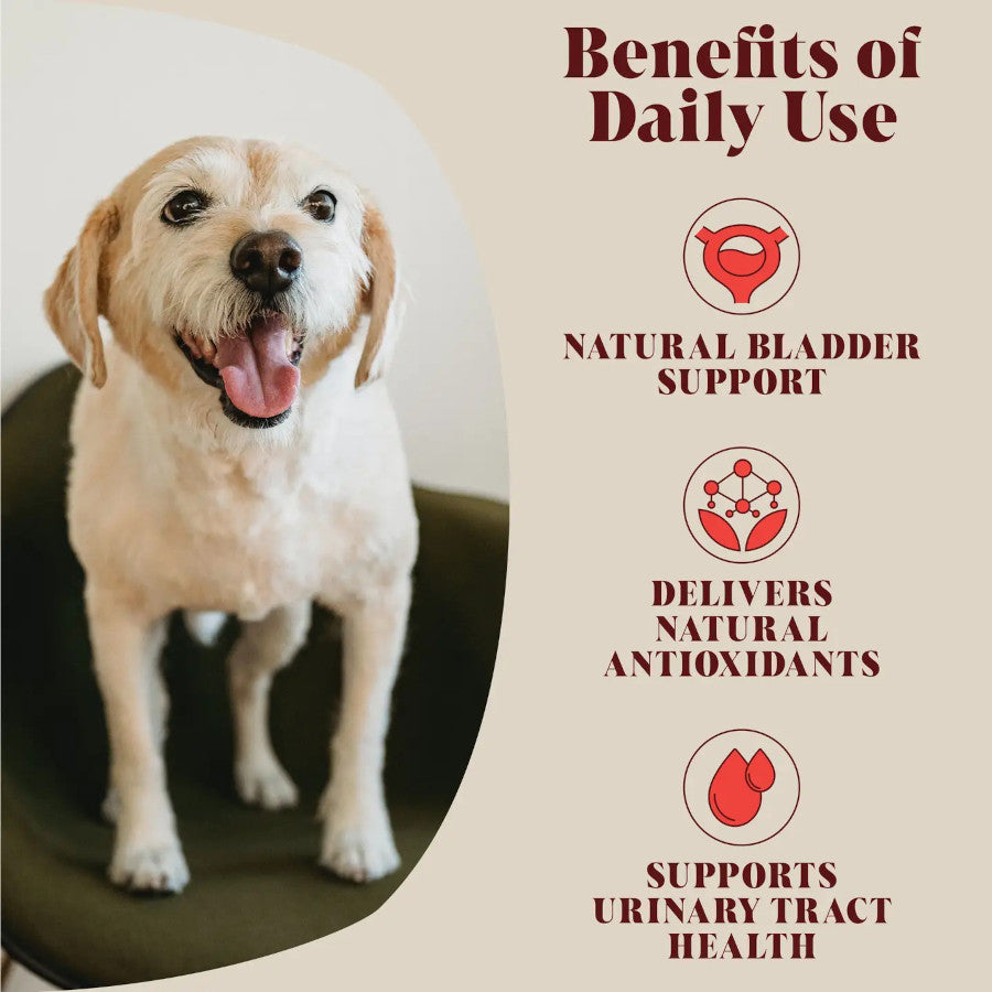 Urinary Cranberry Topper for Dogs & Cats