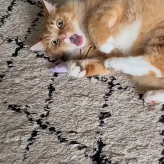 Valerian Mouse Toy