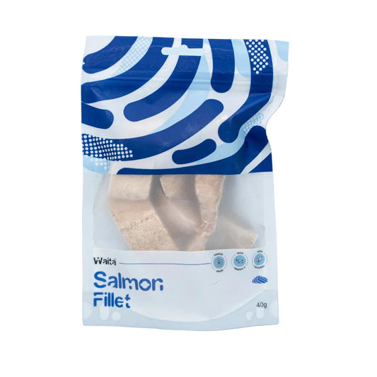 A 40g package of Waits Salmon Fillet, featuring a white and blue patterned pouch with a clear window showing the salmon fillet inside, set against a light blue background.