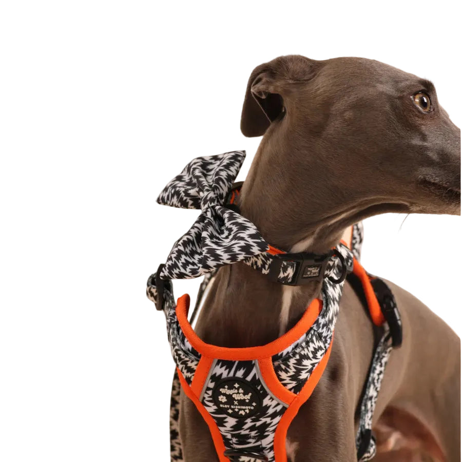 The Flash Collar
