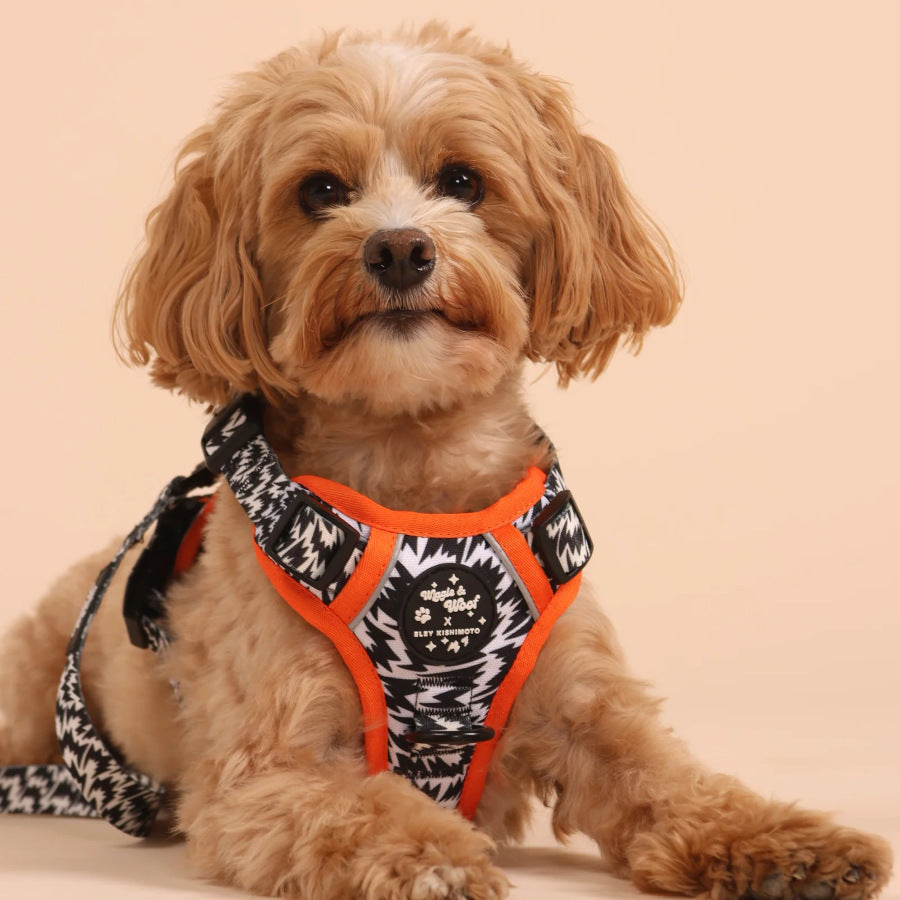The Flash Harness