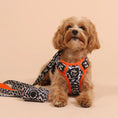 Load image into Gallery viewer, The Flash Poo Bag Holder
