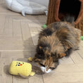 Load image into Gallery viewer, Silvervine Matatabi Wood Pet Toy
