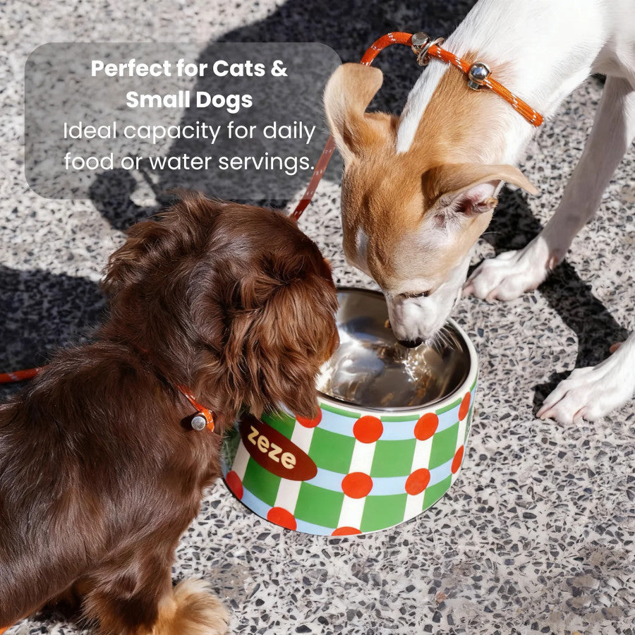 Zeze Stainless Pet Bowl